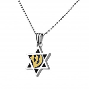 Star of David Pendant in Sterling Silver with Gold Shin by Rafael Jewelry Star of David Collection