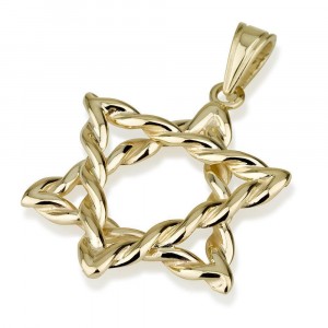 14k Gold Twisted Rope Star of David Pendant by Ben Jewelry
 Jewish Jewelry