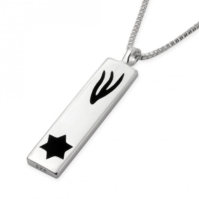 Sterling Silver Mezuzah pendant with Black Shin & Star of David by Estee Brook