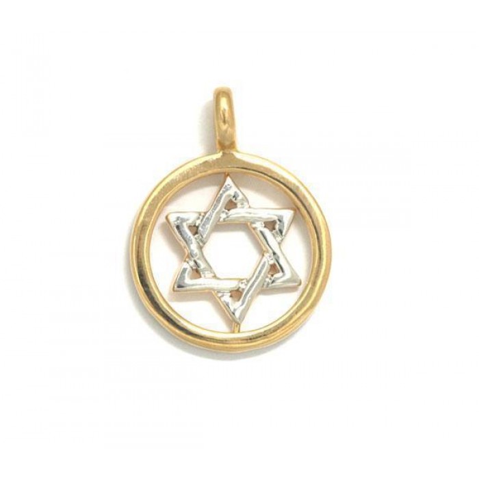 Rhodium Plated Star of David Pendant within Gold Plated Circle