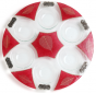 Glass Seder Plate with Red Leaves, Star of David and Metal Plaques